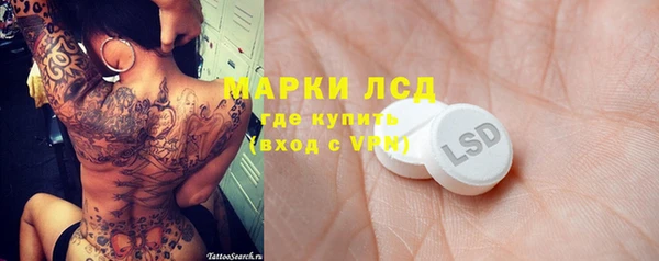 мет Алексин