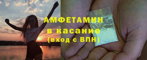мет Алексин