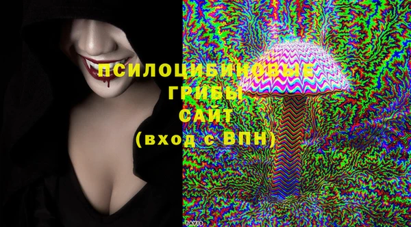 мет Алексин