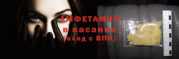 мет Алексин