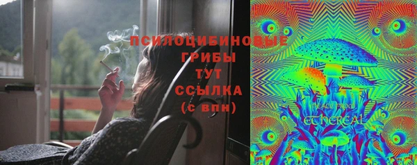 apvp Алексеевка