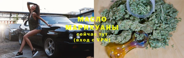 мет Алексин